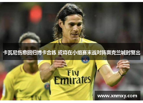 卡瓦尼伤愈回归博卡合练 或将在小组赛末战对阵奥克兰城时复出