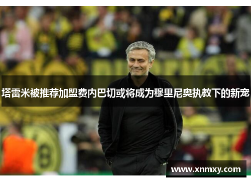 塔雷米被推荐加盟费内巴切或将成为穆里尼奥执教下的新宠